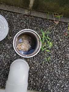 町田市 排水管高圧洗浄